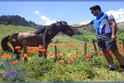 تور دوچرخه سواری نئور به سوباتان گروه گردشگری ماناسلو www.manaslo (4)